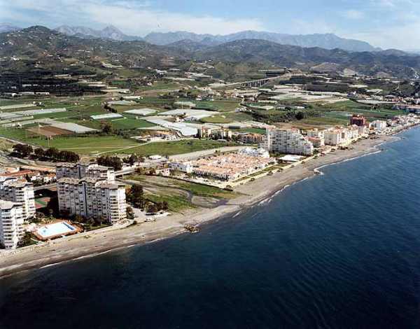 Algarrobo